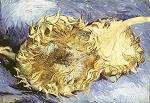 Van Gogh: Two Sunflowers, 1887