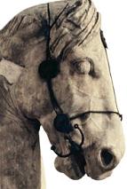 Colossal horse from the Mausoleum at Halikarnassos (one of the Seven Wonders of the Ancient World)
