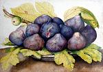Giovanna Garzoni: Plate of Figs